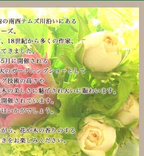 illume キャンドル chelsea collection序文