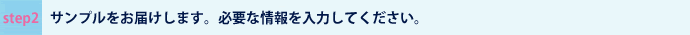サンプルをお届けします。必要な情報を入力してください。